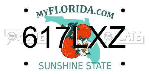 617LXZ Florida License Plate