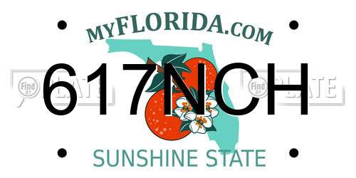 617NCH Florida License Plate
