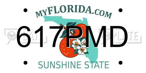 617PMD Florida License Plate