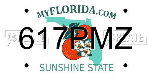 617PMZ Florida License Plate