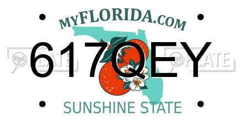 617QEY Florida License Plate