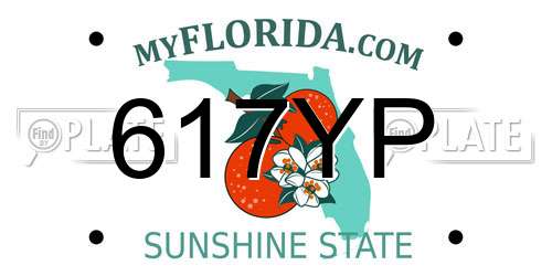 617YP Florida License Plate