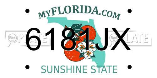6181JX Florida License Plate