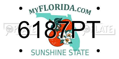 6187PT Florida License Plate