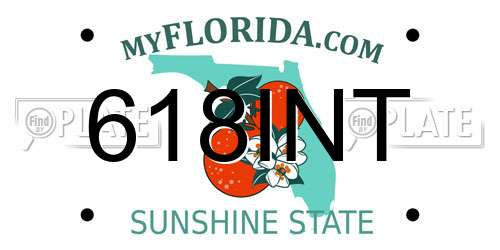 618INT Florida License Plate