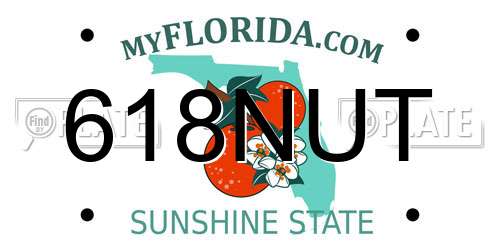 618NUT Florida License Plate