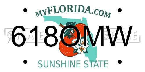 618OMW Florida License Plate