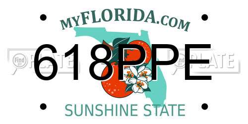 618PPE Florida License Plate