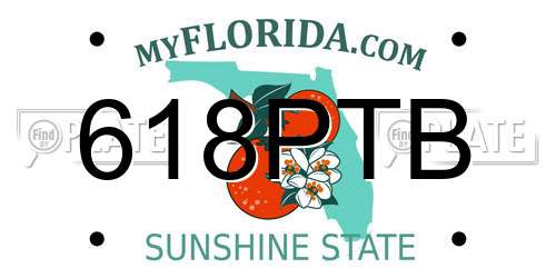618PTB Florida License Plate