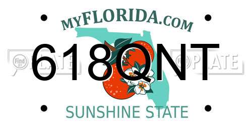 618QNT Florida License Plate