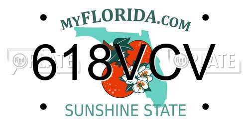 618VCV Florida License Plate