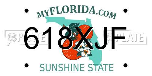 618XJF Florida License Plate