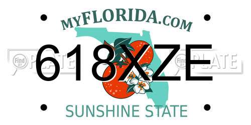 618XZE Florida License Plate