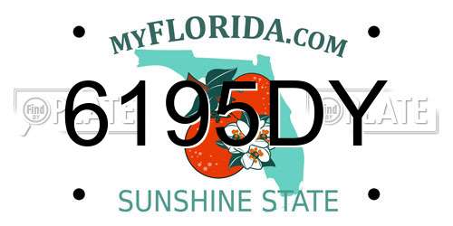6195DY Florida License Plate