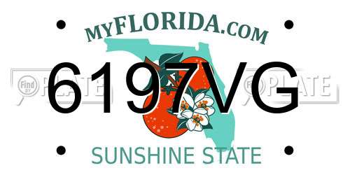 6197VG Florida License Plate