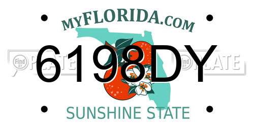 6198DY Florida License Plate