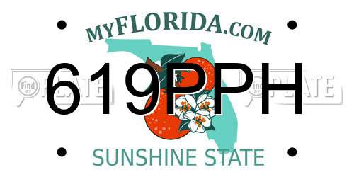 619PPH Florida License Plate