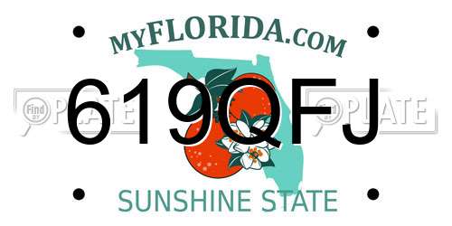 619QFJ Florida License Plate