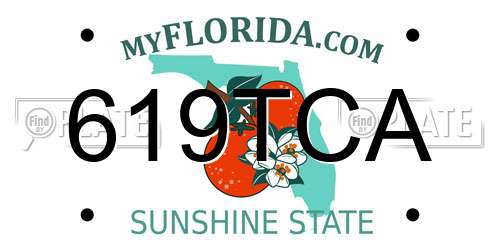619TCA Florida License Plate