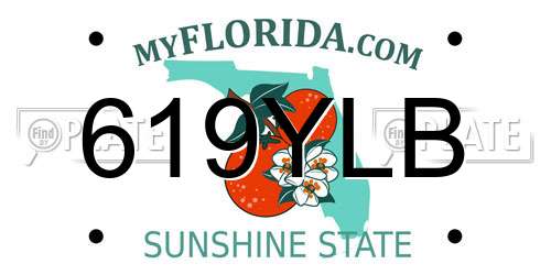 619YLB Florida License Plate