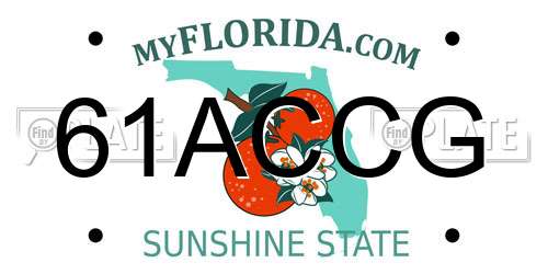 61ACCG Florida License Plate