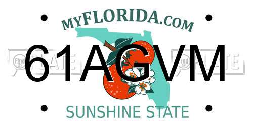 61AGVM Florida License Plate