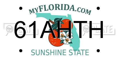 61AHTH Florida License Plate