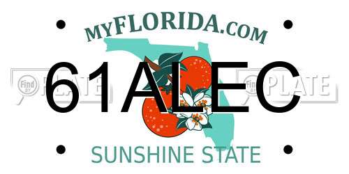 61ALEC Florida License Plate