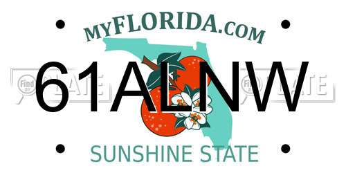 61ALNW Florida License Plate