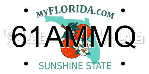 61AMMQ Florida License Plate