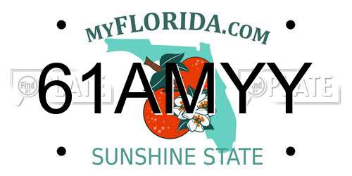 61AMYY Florida License Plate