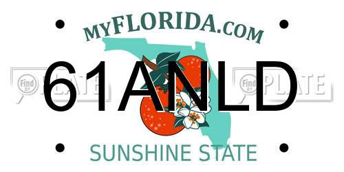 61ANLD Florida License Plate