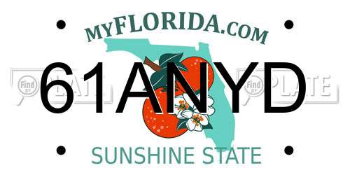 61ANYD Florida License Plate