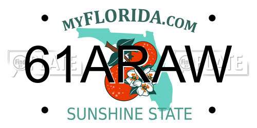 61ARAW Florida License Plate