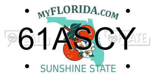 61ASCY Florida License Plate