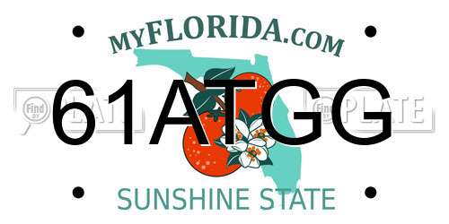 61ATGG Florida License Plate