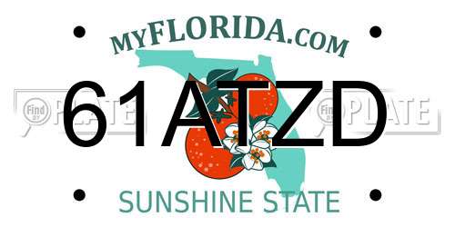 61ATZD Florida License Plate