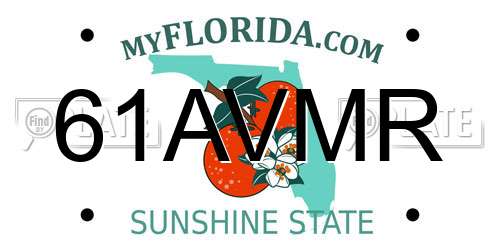 61AVMR Florida License Plate