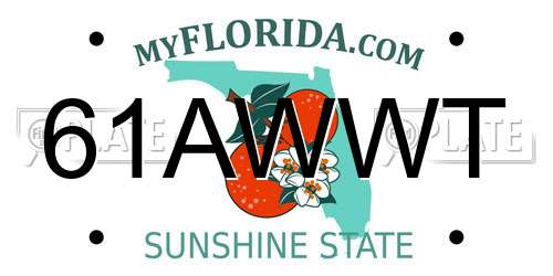 61AWWT Florida License Plate