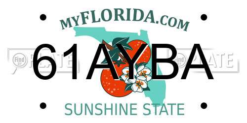 61AYBA Florida License Plate
