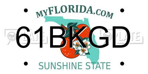 61BKGD Florida License Plate