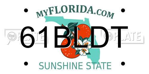61BLDT Florida License Plate