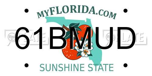 61BMUD Florida License Plate