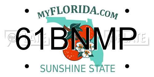 61BNMP Florida License Plate