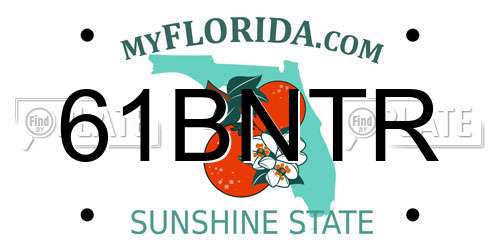 61BNTR Florida License Plate
