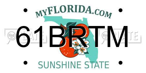 61BRTM Florida License Plate