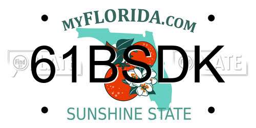 61BSDK Florida License Plate