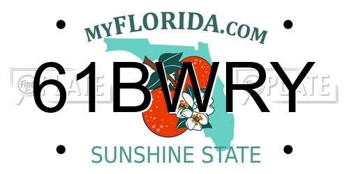 61BWRY Florida License Plate