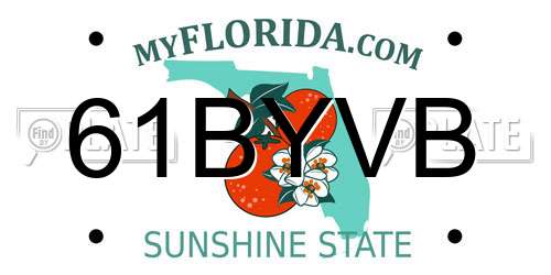 61BYVB Florida License Plate