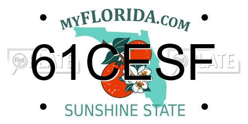 61CESF Florida License Plate